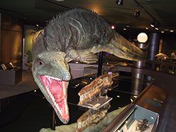 画像_恐竜モササウルス復元